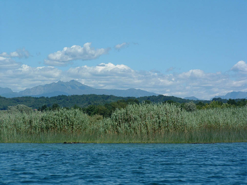  CANNETI 3 CON MONTAGNE 